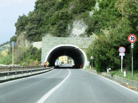 Tunnel de Tortuga