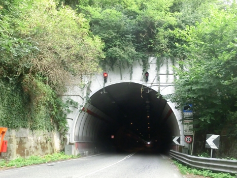 Pino Tunnel northern portal