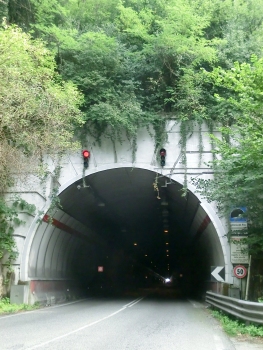 Pino Tunnel northern portal