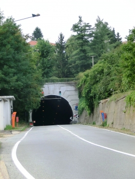 Pino Tunnel southern portal