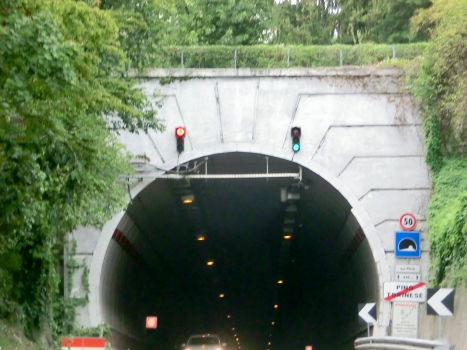 Pino Tunnel