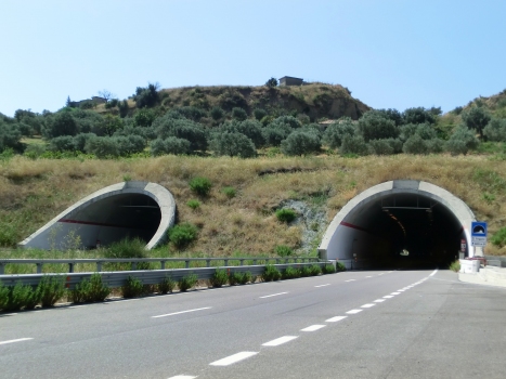 Tunnel de Trigoni