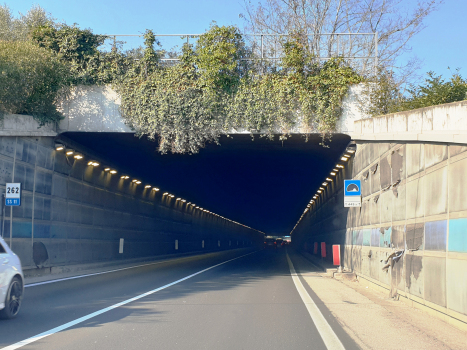 Perla 2 Tunnel