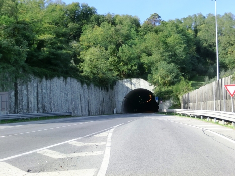 Tunnel Botri