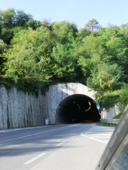 Botri Tunnel southern portal