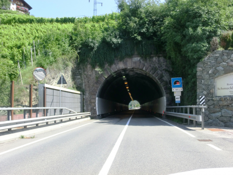 Branzoll Tunnel western portal