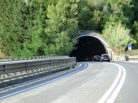 Colletto Tunnel southern portal