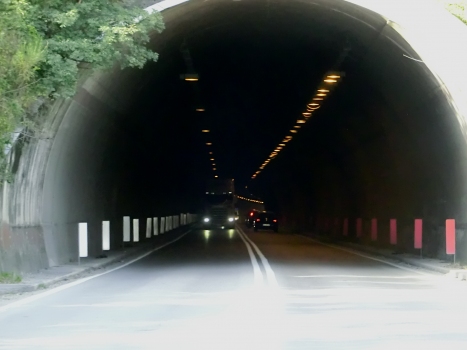 Colletto Tunnel southern portal