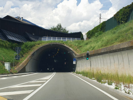 Tunnel Pfeffersberg