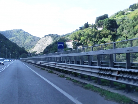 Serchio Viaduct