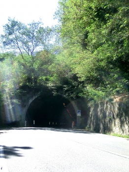 Monti Pisani Tunnel eastern portal