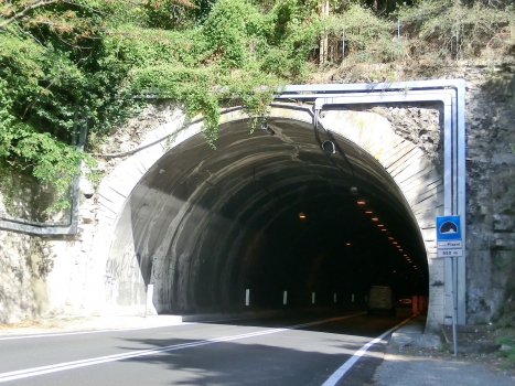 Monti Pisani Tunnel western portal