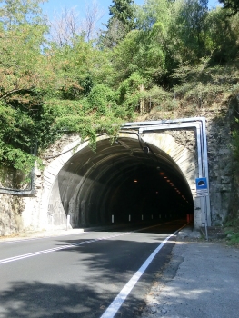 Tunnel Monti Pisani