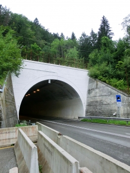 Coccau Tunnel northern portal