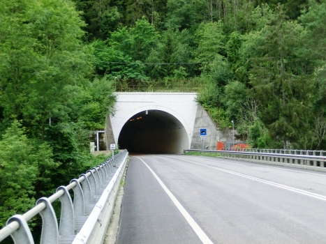 Coccau Tunnel northern portal