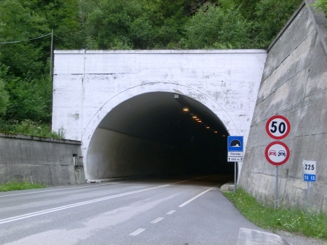 Coccau Tunnel southern portal