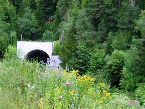 Coccau Tunnel and, on the right, Coccau Grande Tunnel western portals