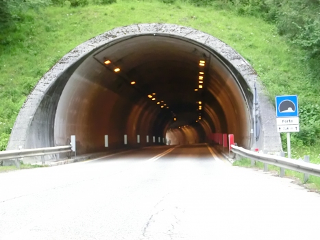 Forte Tunnel western portal