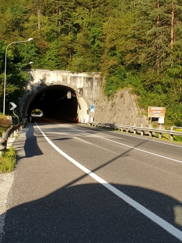 Peraria Tunnel western portal