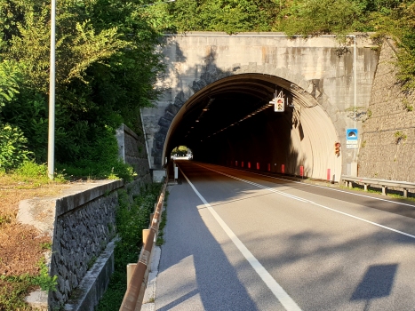 Peraria Tunnel western portal