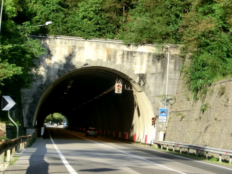 Tunnel de Peraria