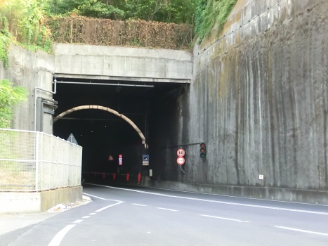 Privati Tunnel northern portal