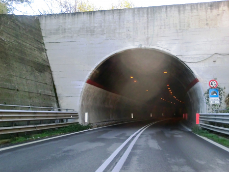 Marrucina Tunnel eastern portal