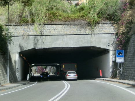 Tunnel de Dogana
