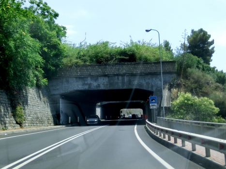 Dogana Tunnel western portal