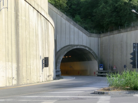 Carrara Tunnel northern portal