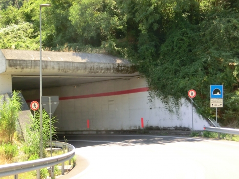 Castelletti 1 Tunnel northern portal