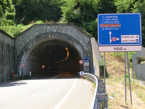 Castelletti Tunnel eastern portal