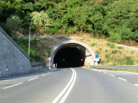 Castelletti Tunnel western portal