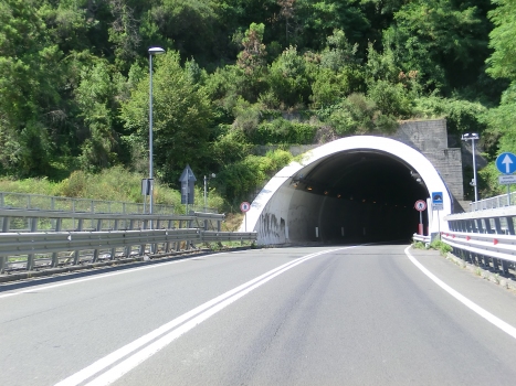 Marinasco Tunnel eastern portal