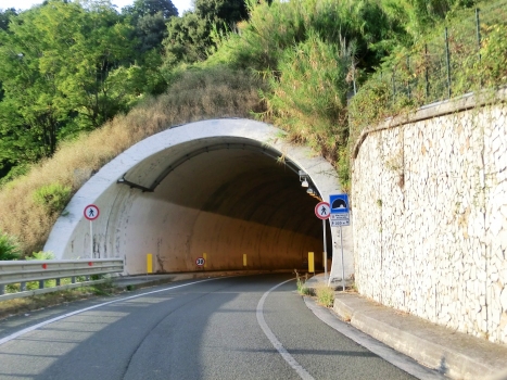 Svincolo Marinasco Tunnel northern portal