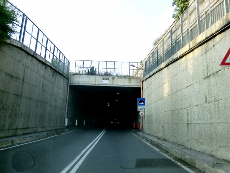 Napoleone Tunnel southern portal