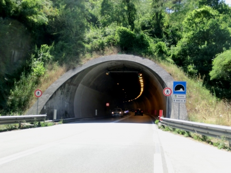 Tunnel de Sarbia