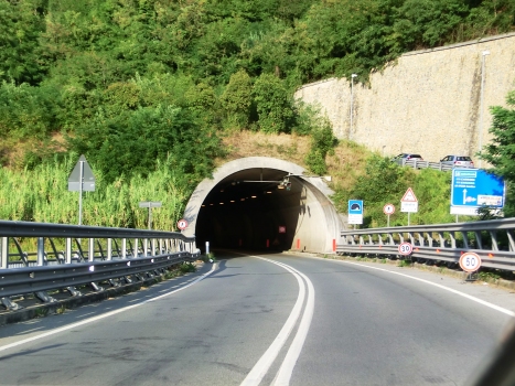 Sarbia Tunnel western portal