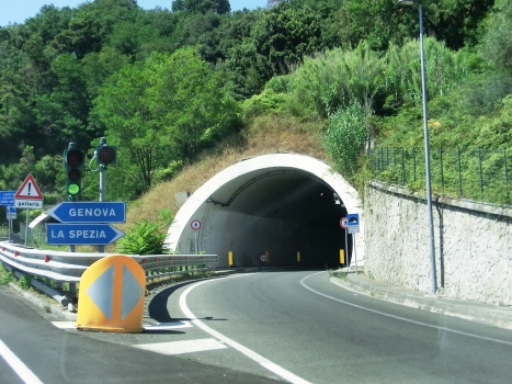 Svincolo Marinasco Tunnel northern portal