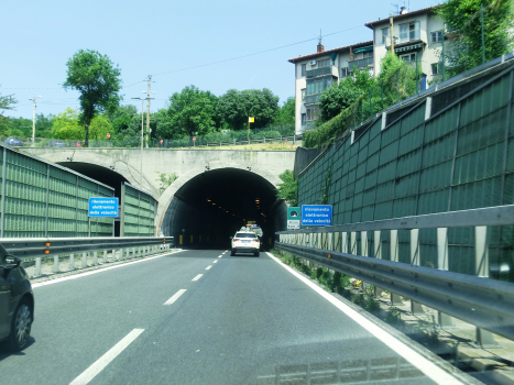 Tunnel de Servola