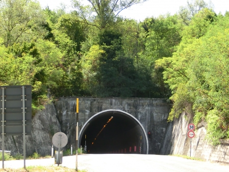 Fornaci Tunnel southern portal