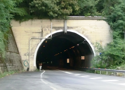 Paolo Emilio Taviani Tunnel eastern portal