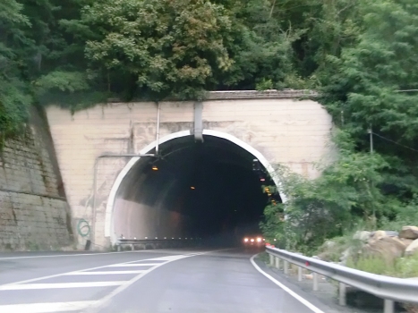 Tunnel Paolo-Emilio-Taviani