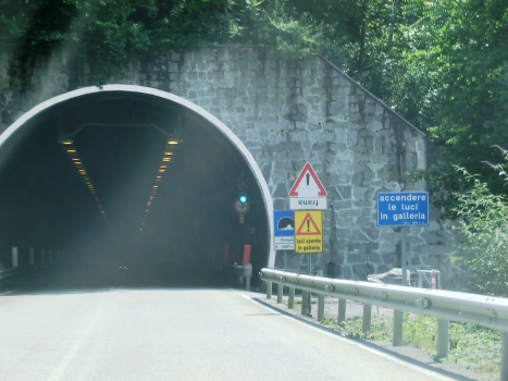Omegna Tunnel southern portal