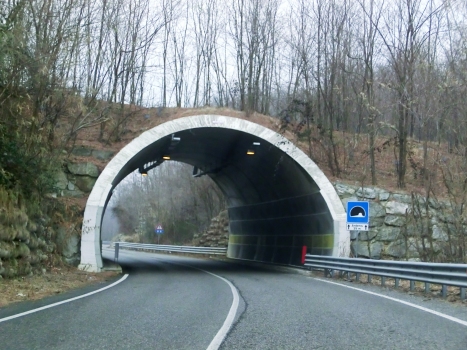 Ardemo Tunnel southern portal