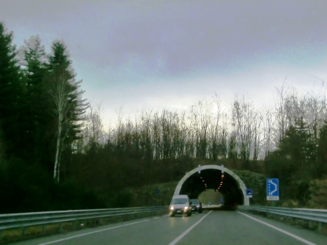 Miola 1 Tunnel northern portal