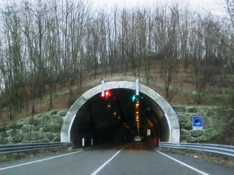 Miola 2 Tunnel northern portal