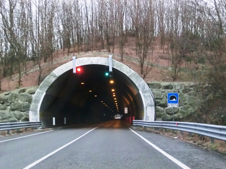 Miola 2 Tunnel southern portal