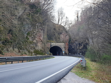 Tunnel de Bregazzana