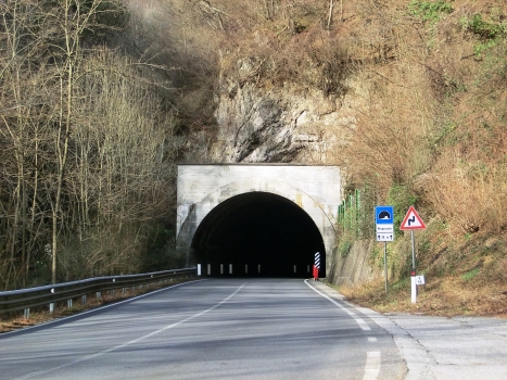 Bregazzana Tunnel southern portal